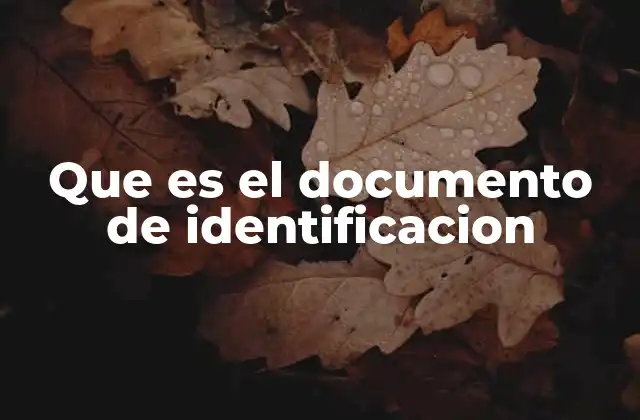 Que es el Documento de Identificacion