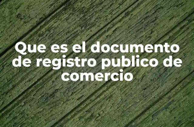 Que es el Documento de Registro Publico de Comercio