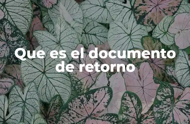 Que es el Documento de Retorno