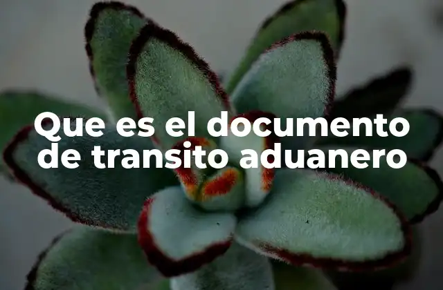 Que es el Documento de Transito Aduanero