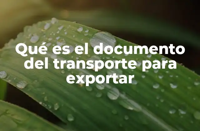 Qué es el Documento Del Transporte para Exportar