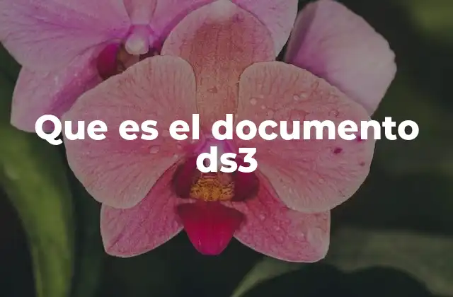 Que es el Documento Ds3 2 Importancia del DS3 en el proceso migratorio