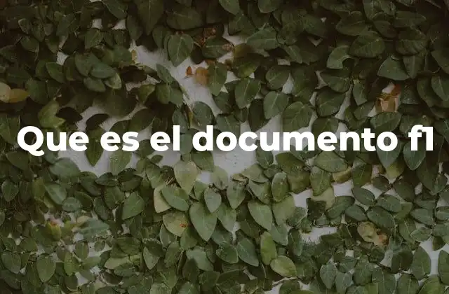 Que es el Documento F1