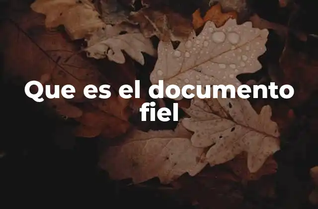 Que es el Documento Fiel