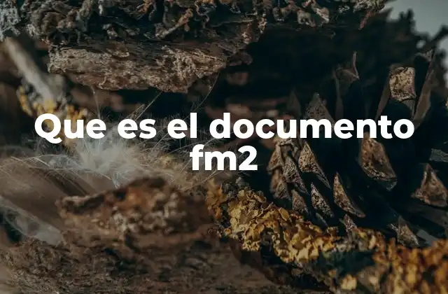 Que es el Documento Fm2 2 El papel del FM2 en la movilidad laboral