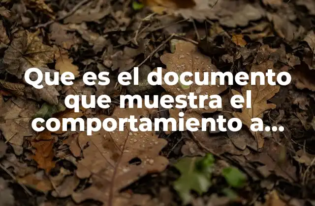 Que es el Documento que Muestra el Comportamiento a Seguir