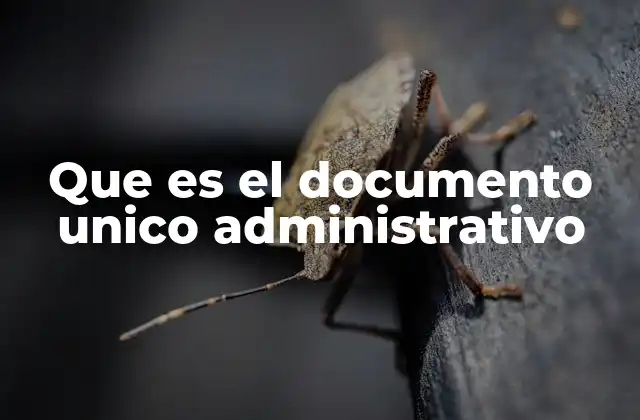 Que es el Documento Unico Administrativo