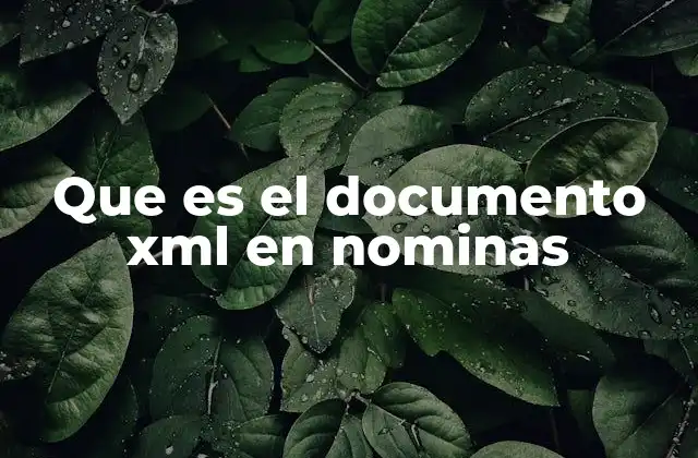 Que es el Documento Xml en Nominas