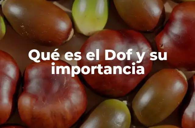 Qué es el Dof y Su Importancia