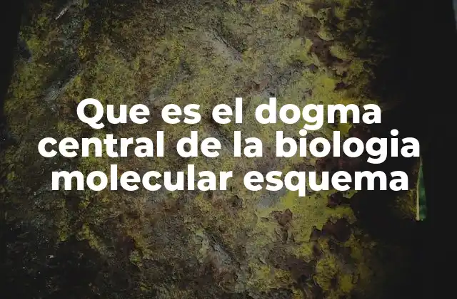 Que es el Dogma Central de la Biologia Molecular Esquema 2 Cómo se relaciona el flujo de información genética con la vida celular