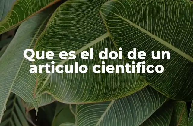 Que es el Doi de un Articulo Cientifico