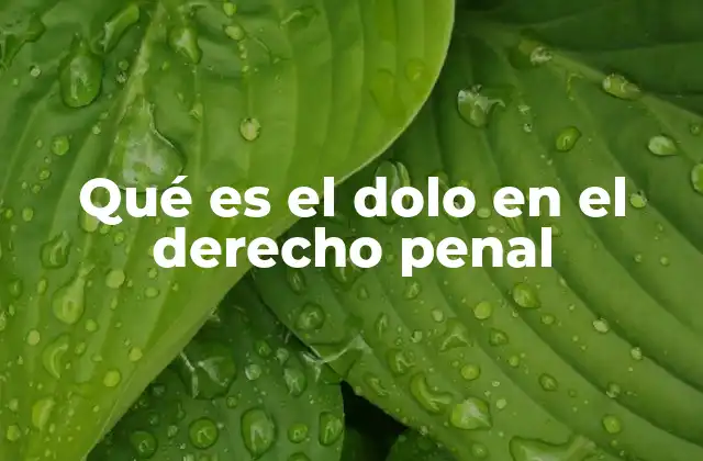 Qué es el Dolo en el Derecho Penal