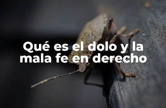 Qué es el Dolo y la Mala Fe en Derecho