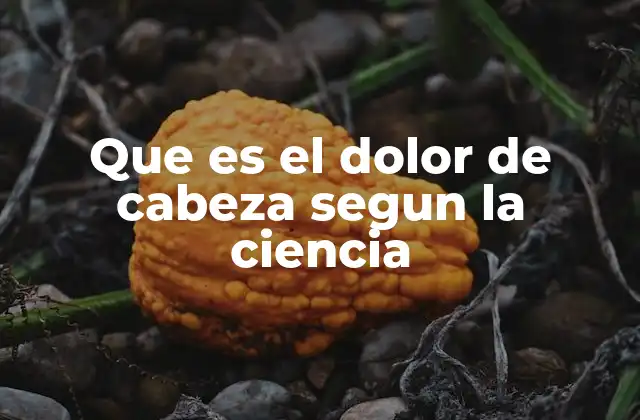 Que es el Dolor de Cabeza Segun la Ciencia 2 El dolor de cabeza: una señal del cuerpo