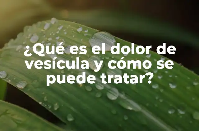 ¿qué es el Dolor de Vesícula y Cómo Se Puede Tratar?
