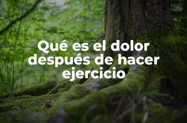 Qué es el Dolor Después de Hacer Ejercicio