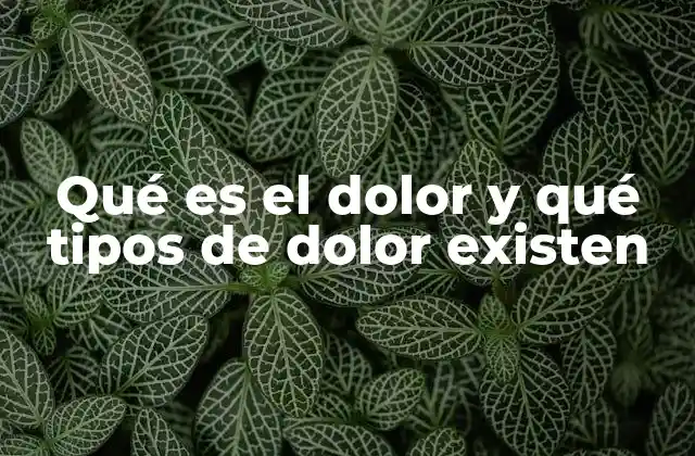 Qué es el Dolor y Qué Tipos de Dolor Existen