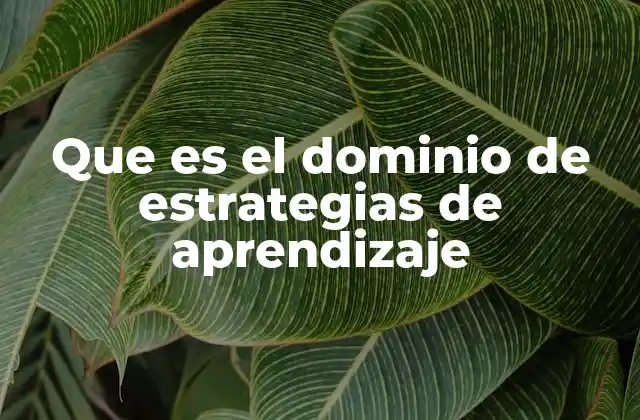 Que es el Dominio de Estrategias de Aprendizaje