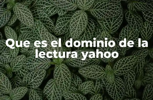 Que es el Dominio de la Lectura Yahoo