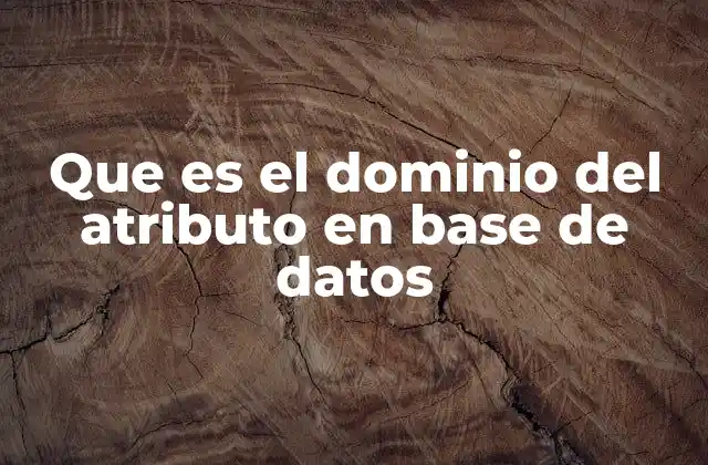 Que es el Dominio Del Atributo en Base de Datos