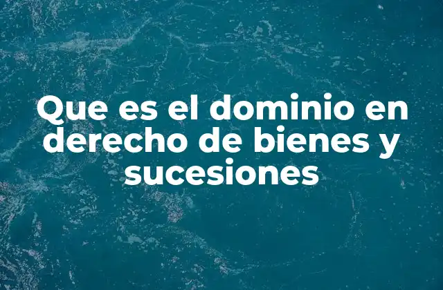 Que es el Dominio en Derecho de Bienes y Sucesiones