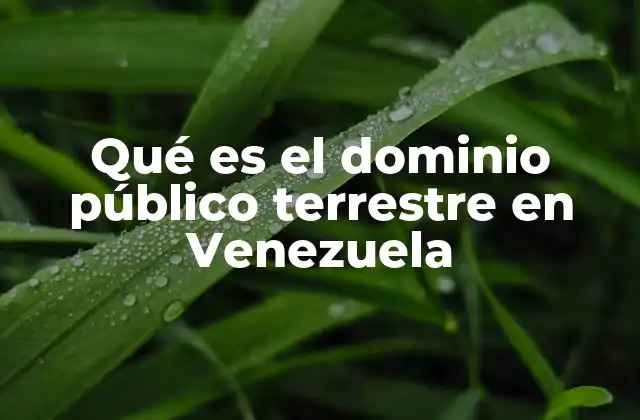 Qué es el Dominio Público Terrestre en Venezuela