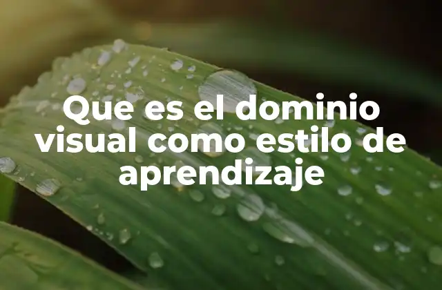 Que es el Dominio Visual como Estilo de Aprendizaje
