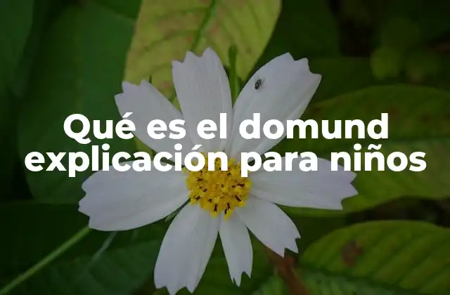 El Domund y su importancia para la Iglesia