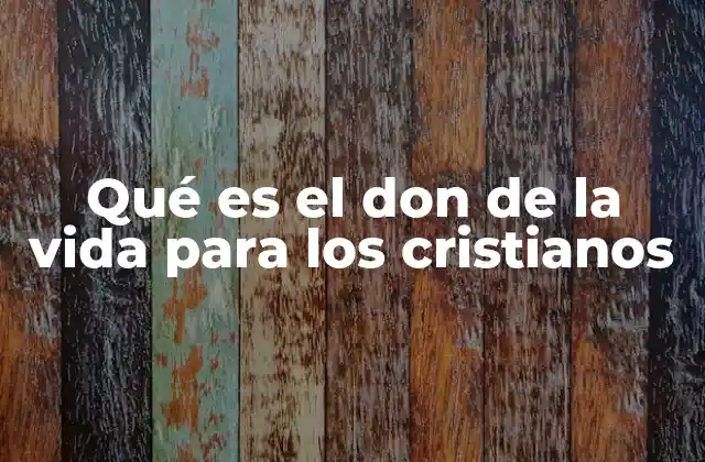 Qué es el Don de la Vida para los Cristianos 2 La vida como expresión de la bondad divina