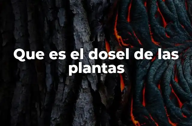 Que es el Dosel de las Plantas