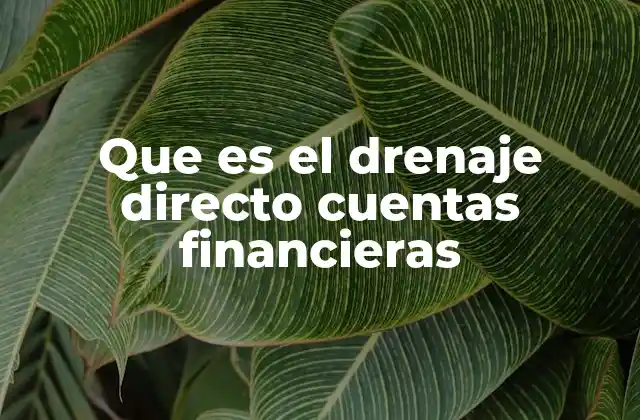 Que es el Drenaje Directo Cuentas Financieras 2 Cómo el drenaje directo afecta la gestión financiera