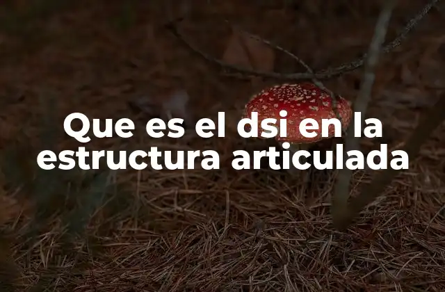 Que es el Dsi en la Estructura Articulada