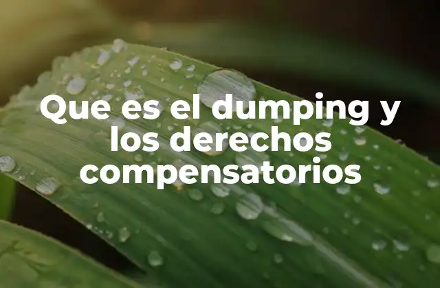 Que es el Dumping y los Derechos Compensatorios