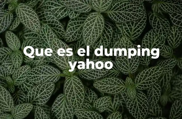 Que es el Dumping Yahoo