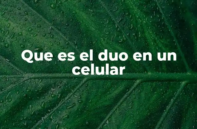 Que es el Duo en un Celular