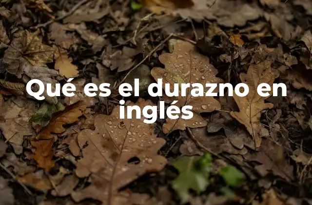 Qué es el Durazno en Inglés
