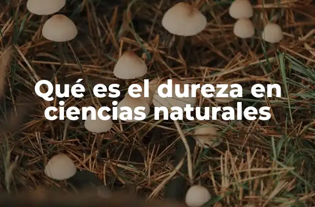 Qué es el Dureza en Ciencias Naturales
