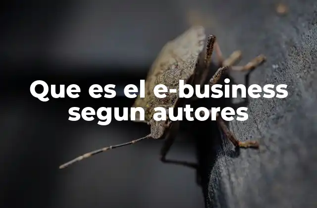 Que es el E-business Segun Autores