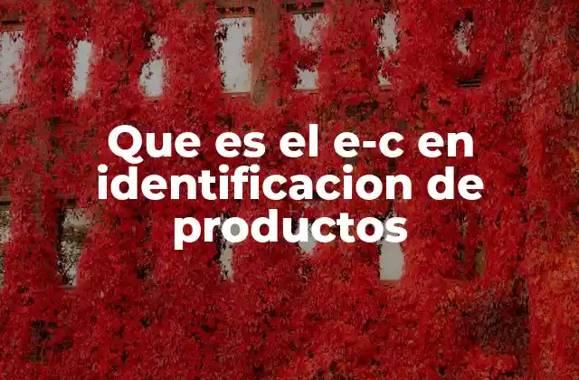 Que es el E-c en Identificacion de Productos 2 La importancia de los códigos electrónicos en la gestión de inventarios