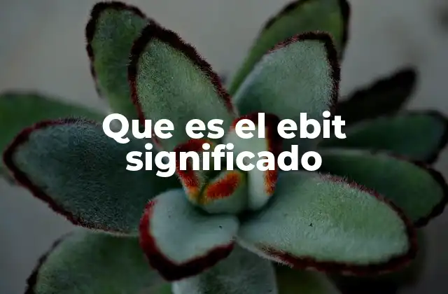 Que es el Ebit Significado
