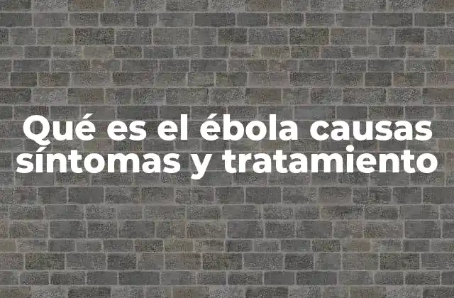 Qué es el Ébola Causas Síntomas y Tratamiento