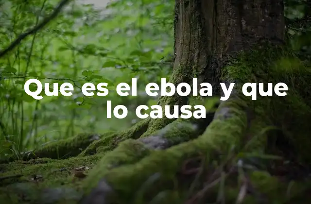 Que es el Ebola y que Lo Causa 2 Orígenes y transmisión del virus