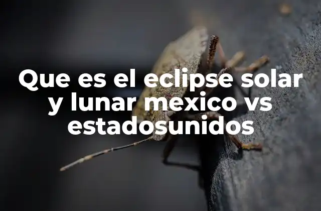 ¿Cómo se ven los eclipses desde diferentes partes del mundo?