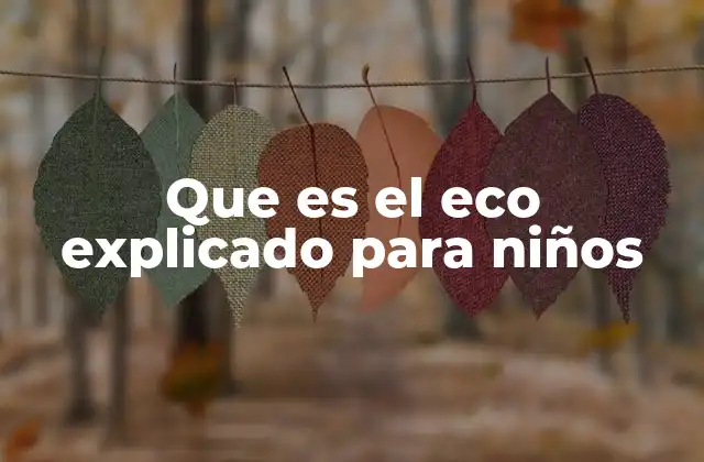 Que es el Eco Explicado para Niños