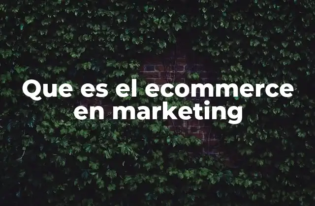 Que es el Ecommerce en Marketing