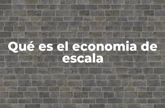 Qué es el Economia de Escala