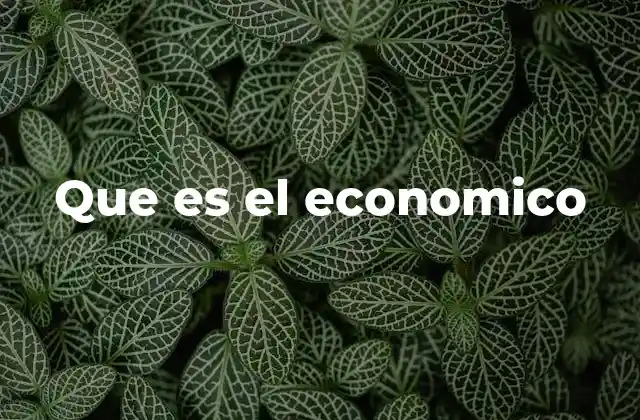 Que es el Economico