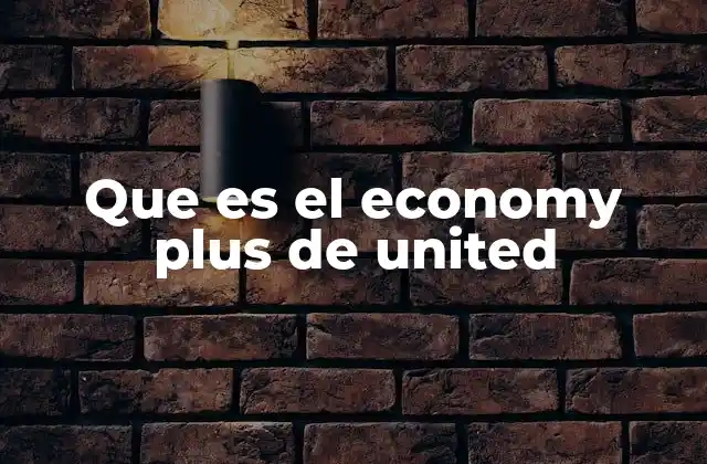 Que es el Economy Plus de United