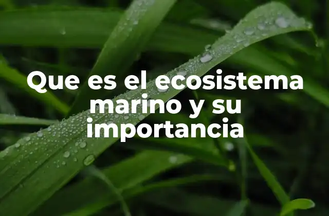 Que es el Ecosistema Marino y Su Importancia