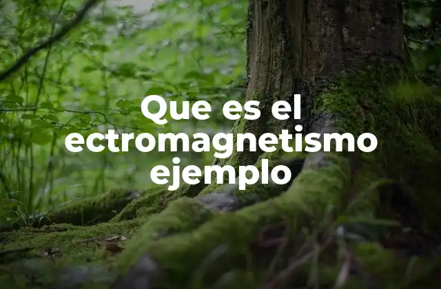 La relación entre electricidad y magnetismo